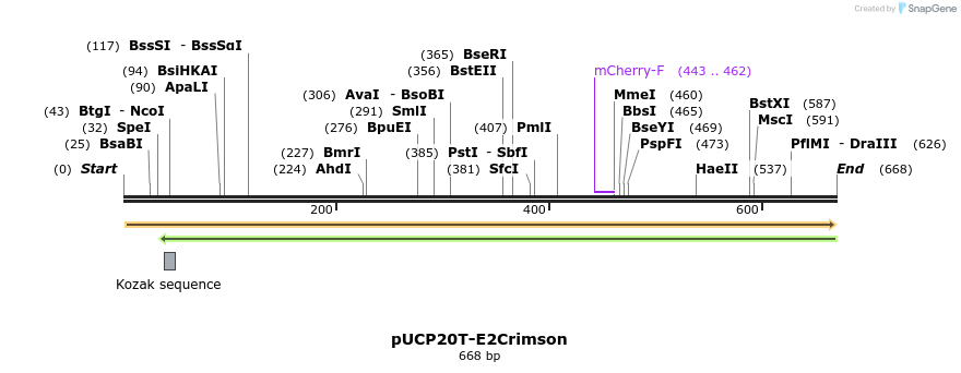 149776_map