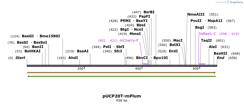 149781_map