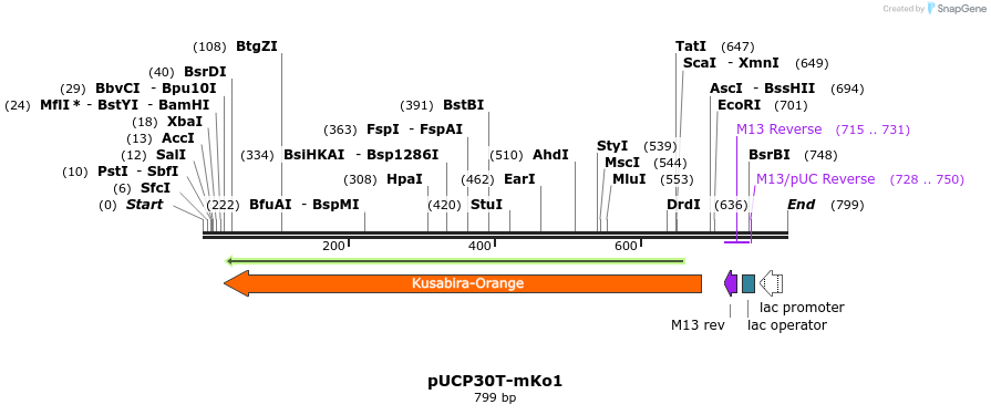 149786_map