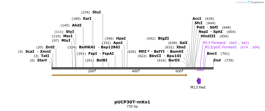 149788_map