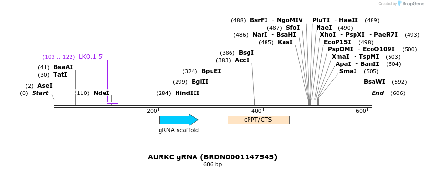 149789_map