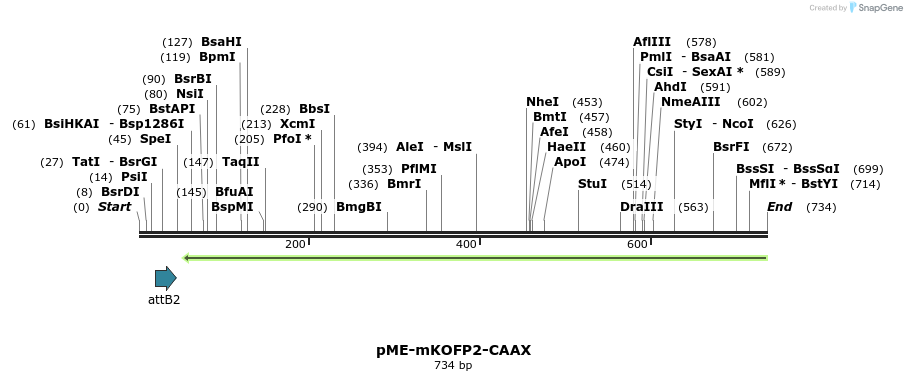 149791_map