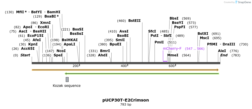 149793_map