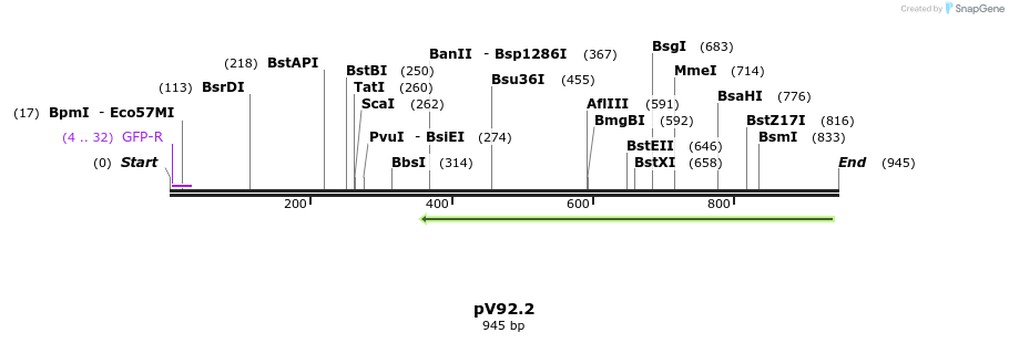 149794_map