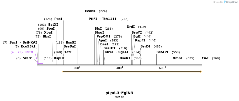 149795_map
