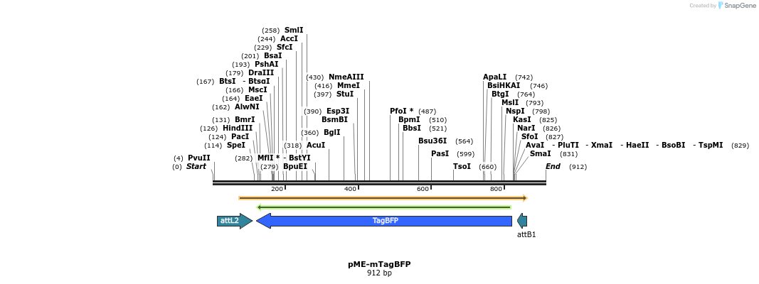 149798_map