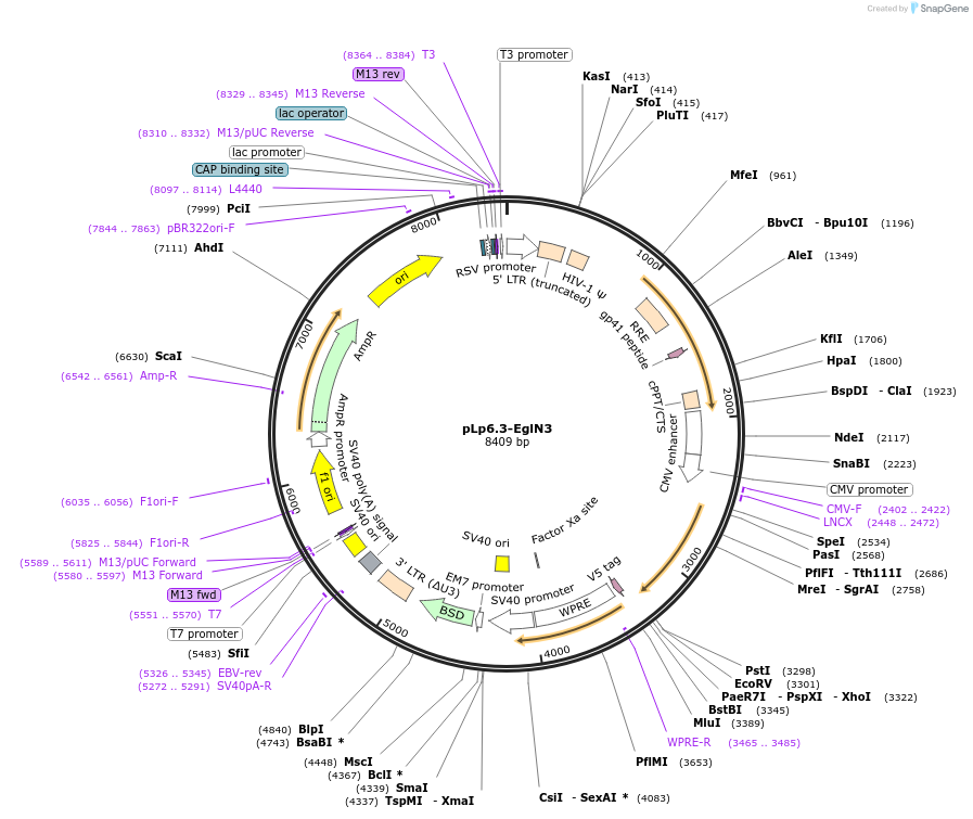 149799_map