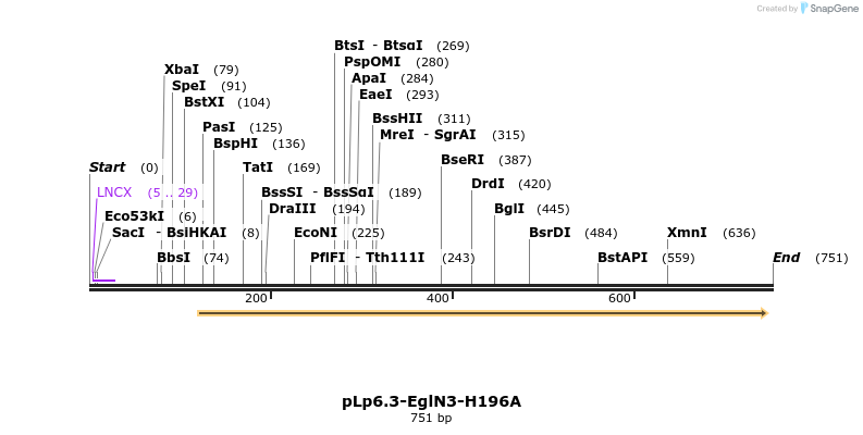 149801_map