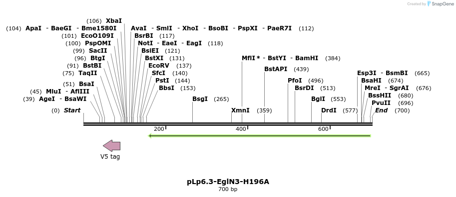 149802_map