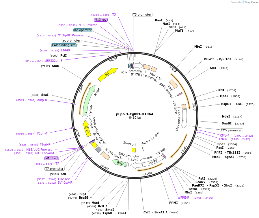 149803_map
