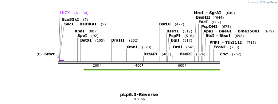 149807_map
