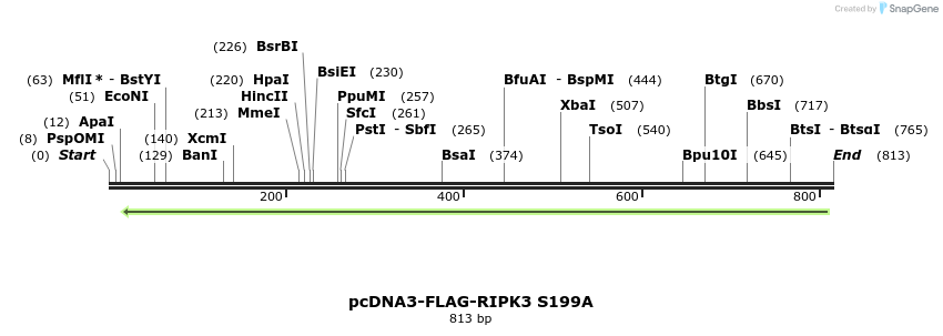 149808_map