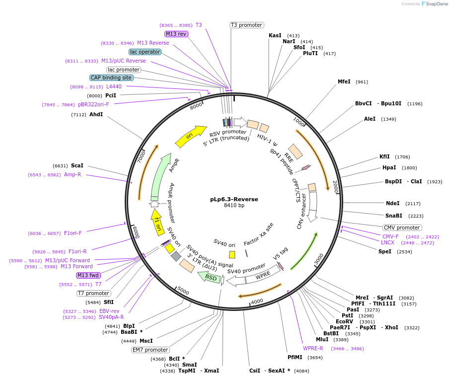 149810_map