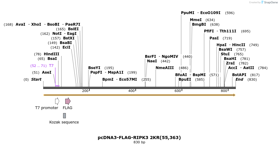 149811_map