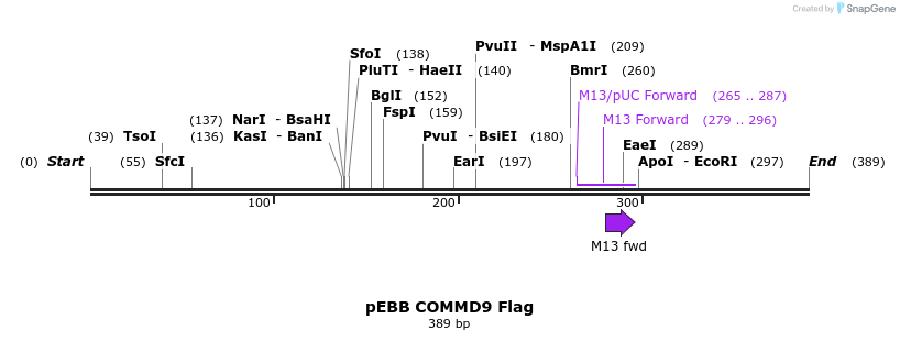 149812_map