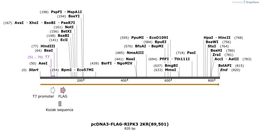 149816_map