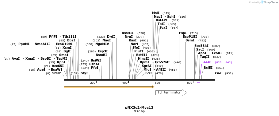 149818_map