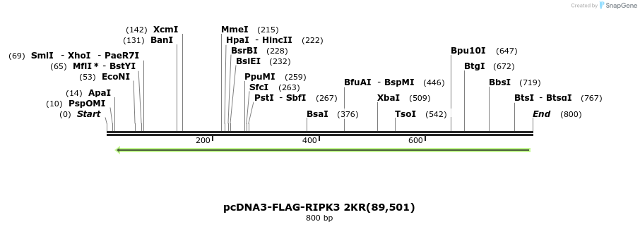 149820_map