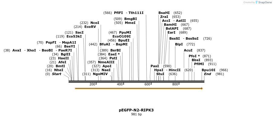 149821_map