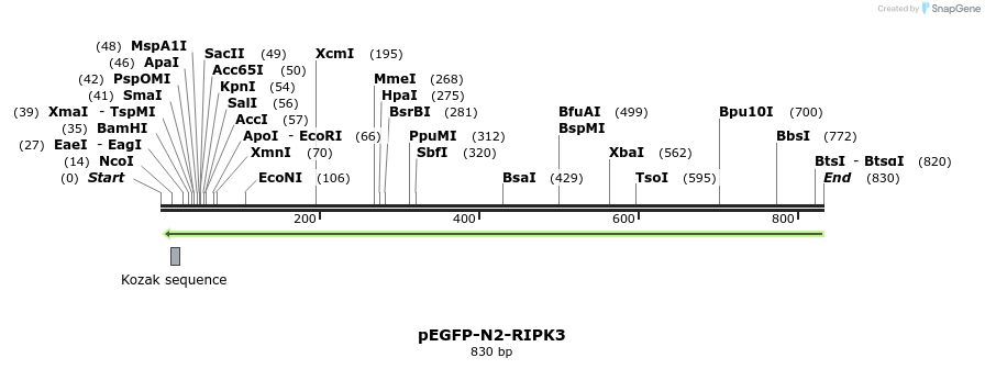 149825_map