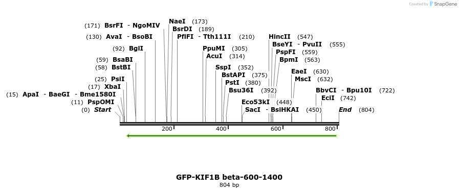 149826_map