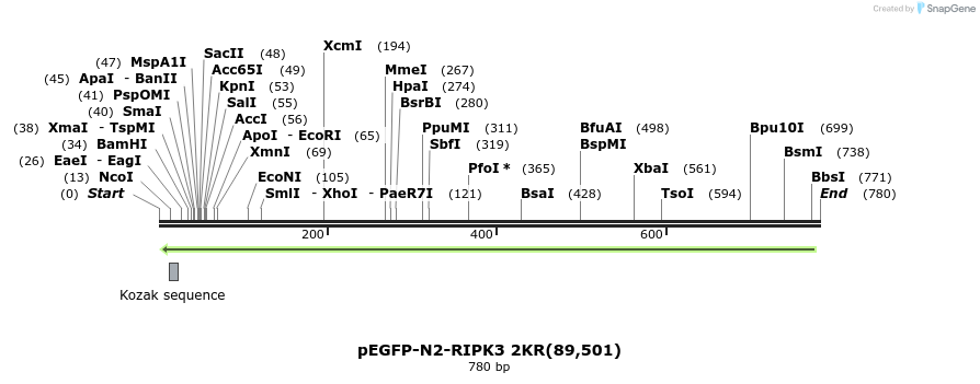 149835_map
