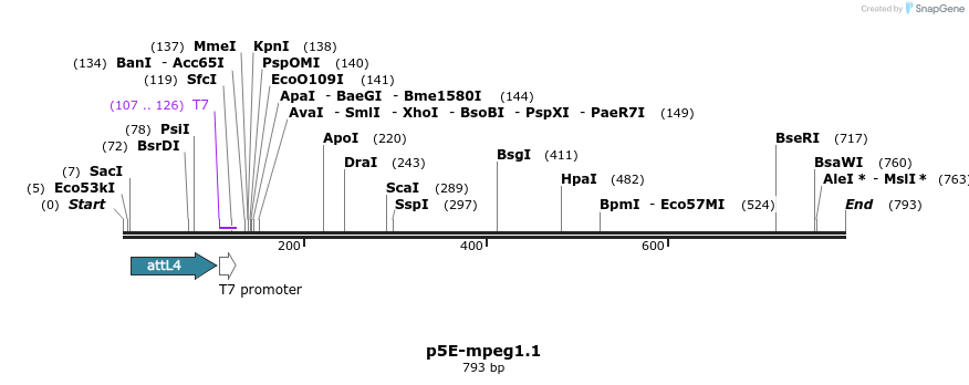 149838_map