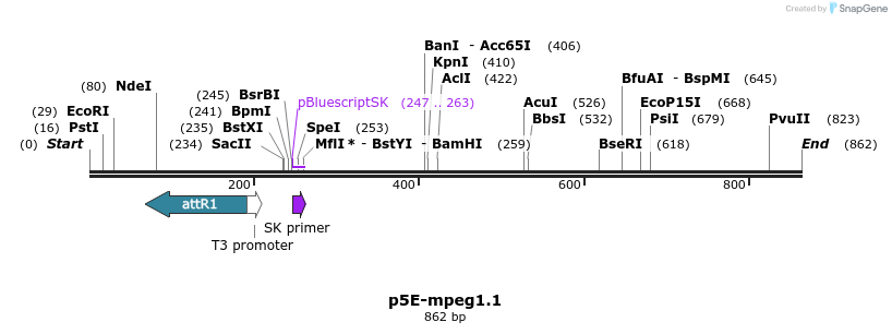 149839_map