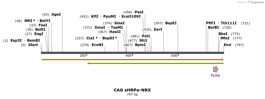 149840_map