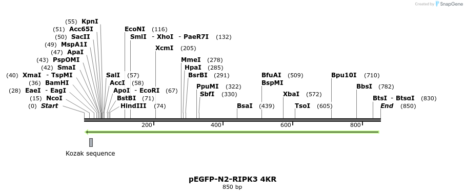 149843_map