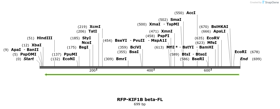 149847_map