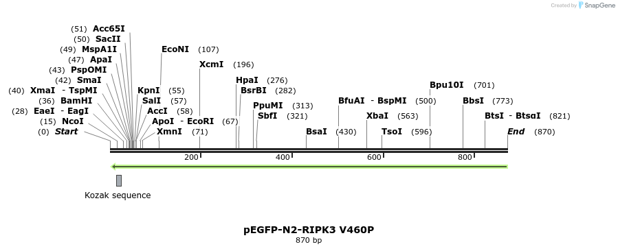 149852_map
