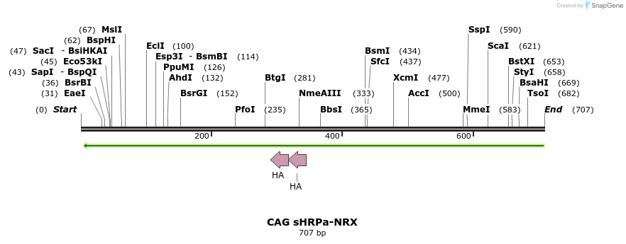 149853_map
