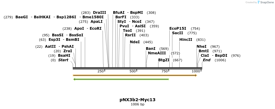 149857_map