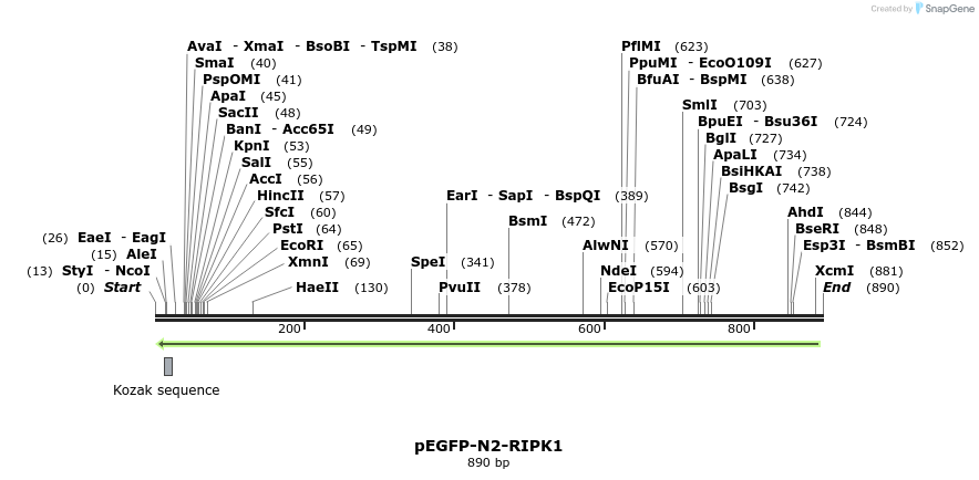 149858_map
