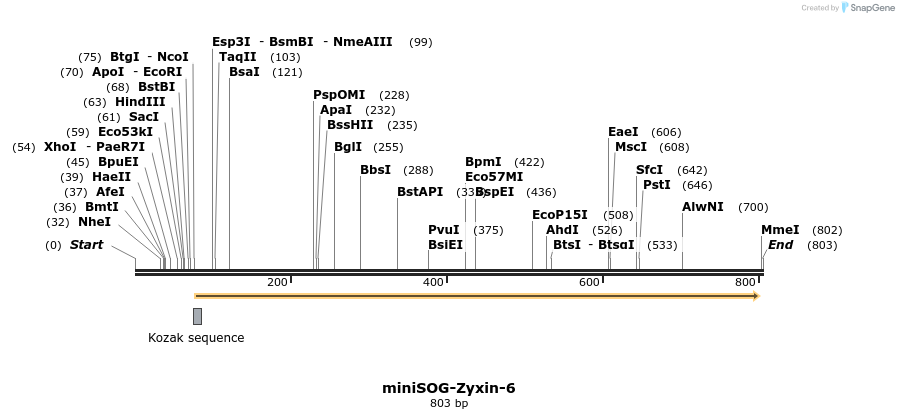 149861_map