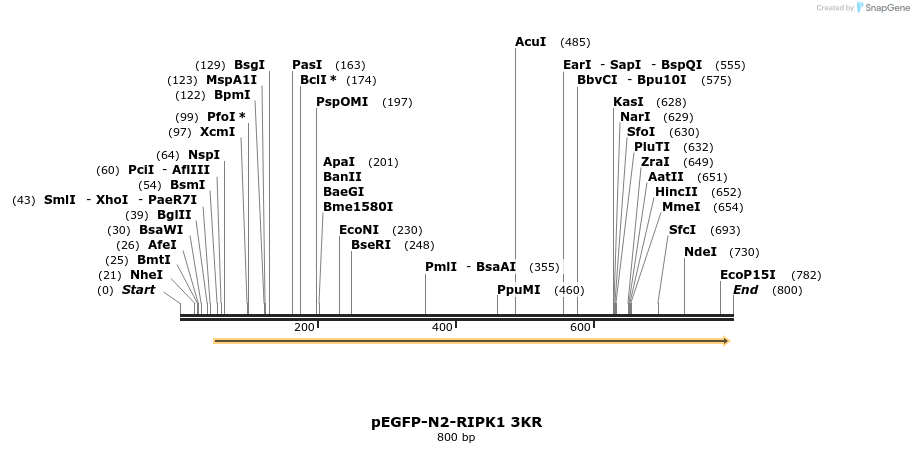 149863_map