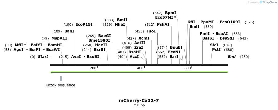 149865_map