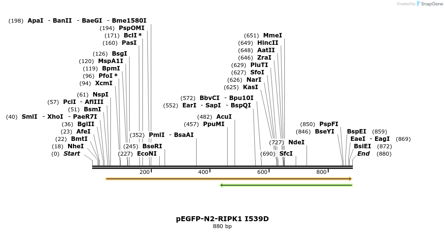 149873_map