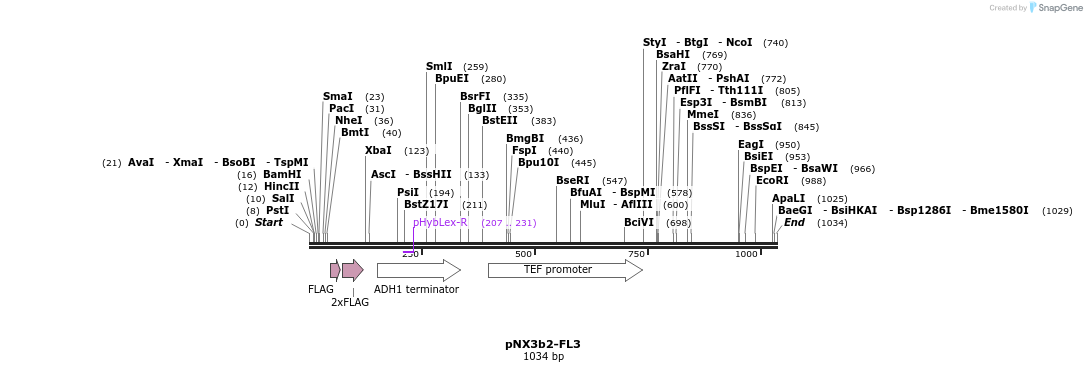 149880_map