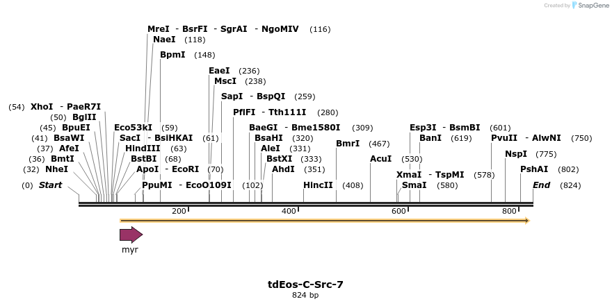 149887_map