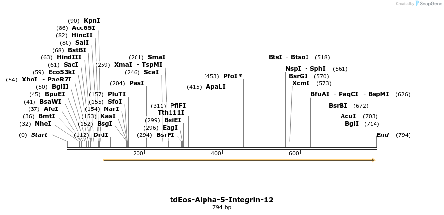 149888_map