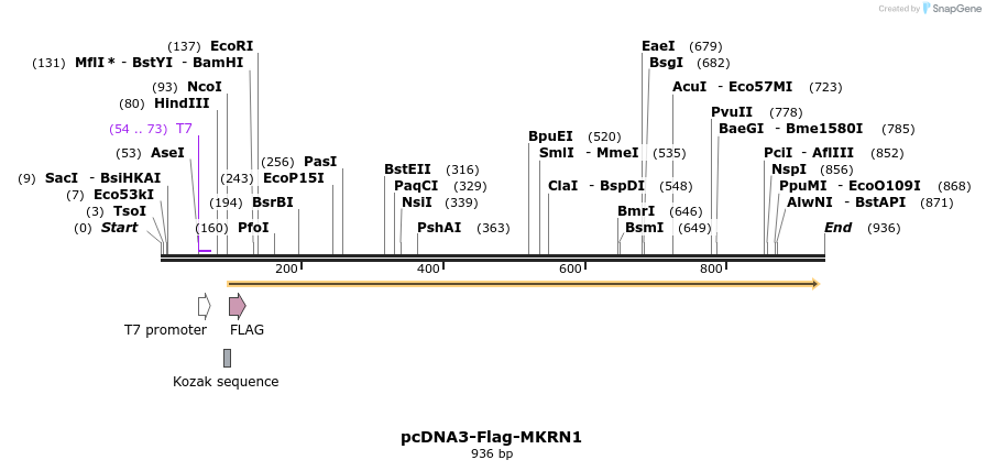149923_map
