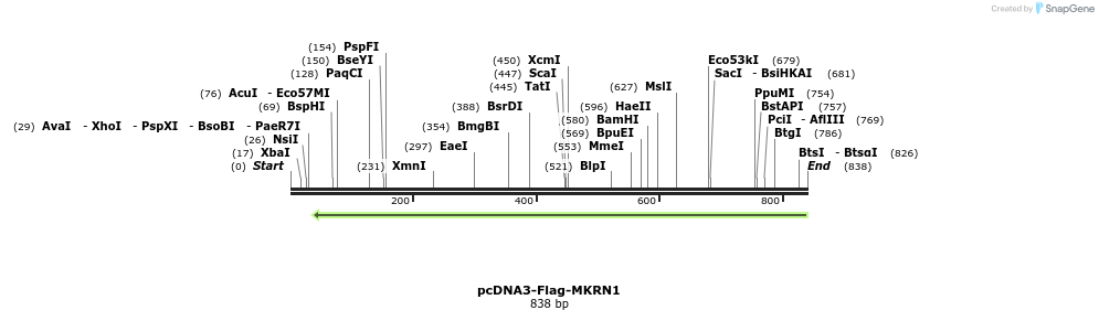 149924_map