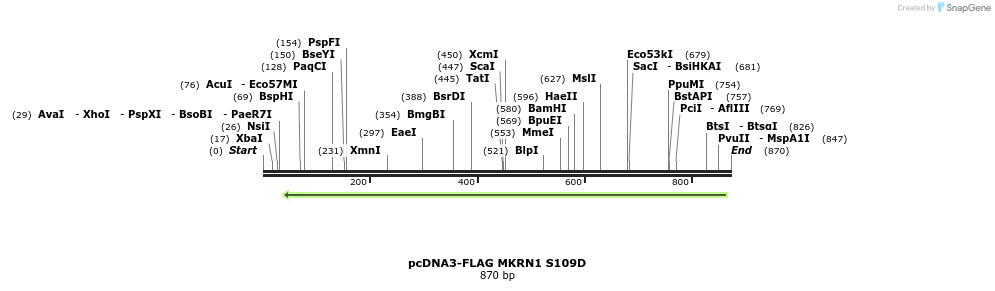 149928_map