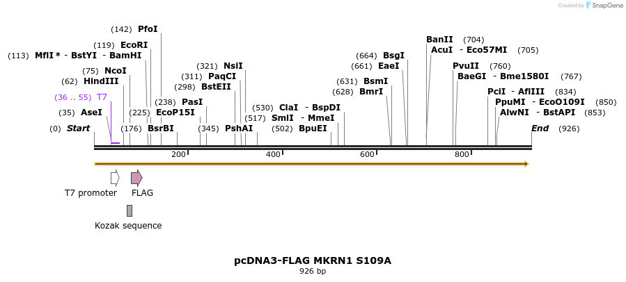 149932_map