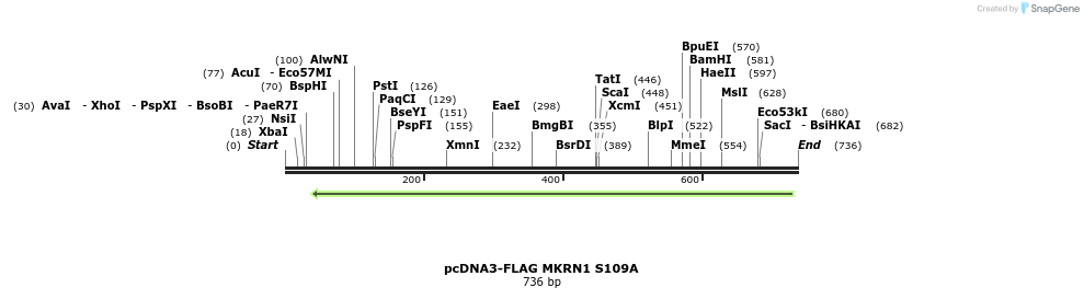 149933_map