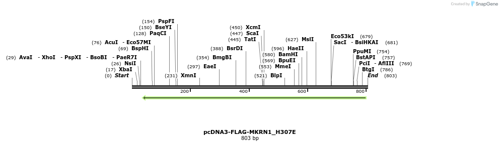 149936_map