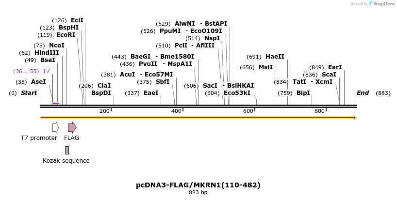 149941_map