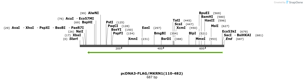 149942_map